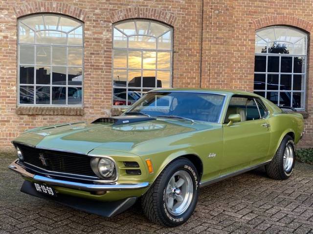 Imagen 1/8 de Ford Mustang Mach 1 (1970)
