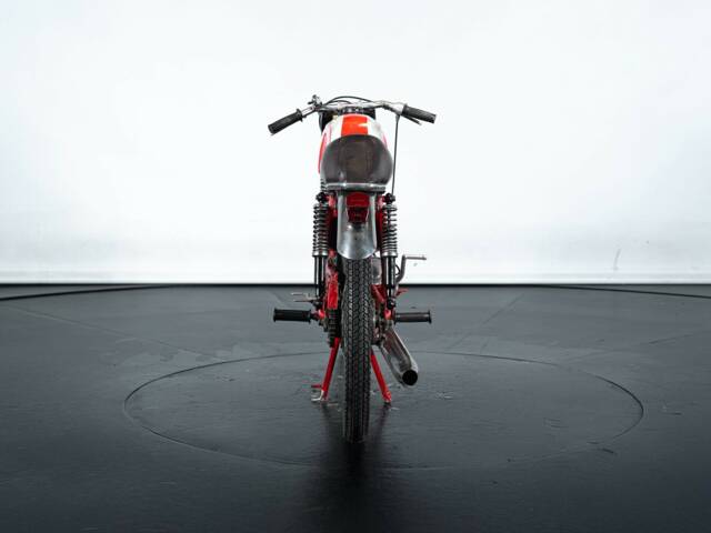 BM Jaguarino 50