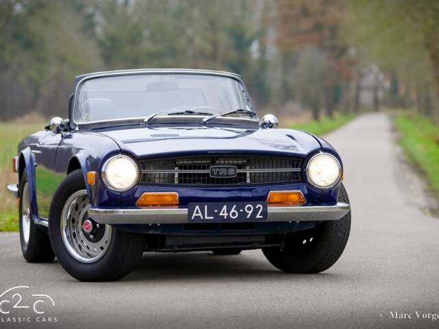 Triumph TR 6