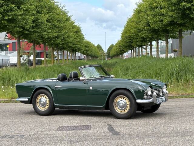 Triumph TR 4