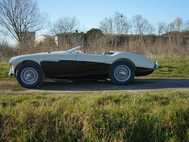 Austin-Healey 100/4 (BN2)