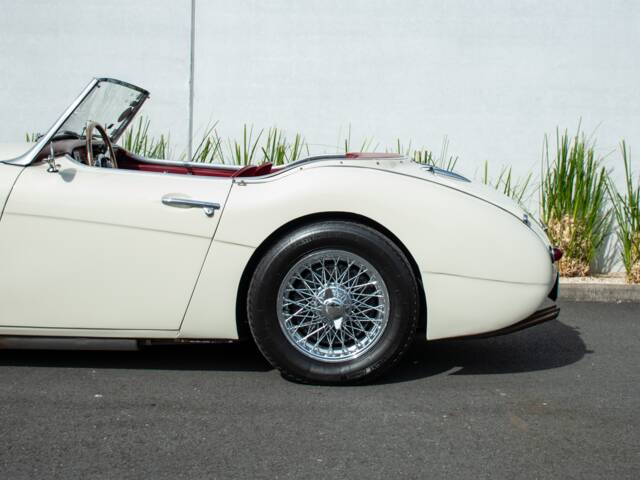 Austin-Healey 100/6 (BN4)