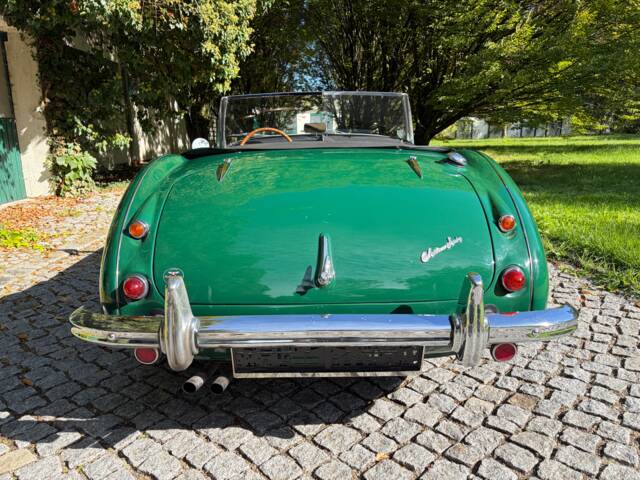 Austin-Healey 100/6 (BN6)