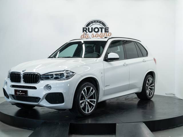 Bild 1/41 von BMW X5 xDrive25d (2017)