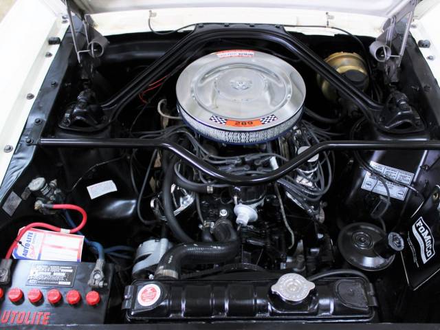 Ford Mustang 289