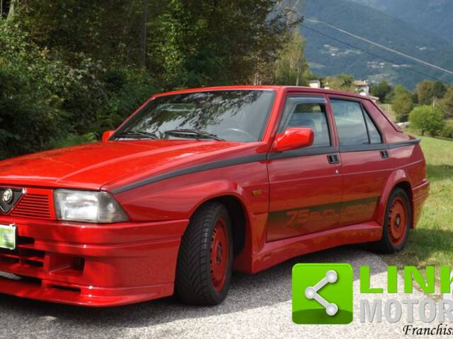 Image 1/10 de Alfa Romeo 75 1.8 Turbo (1992)