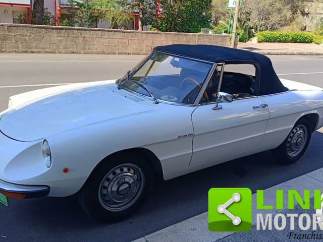 Bild 1/10 von Alfa Romeo Spider 1600 Junior (1975)