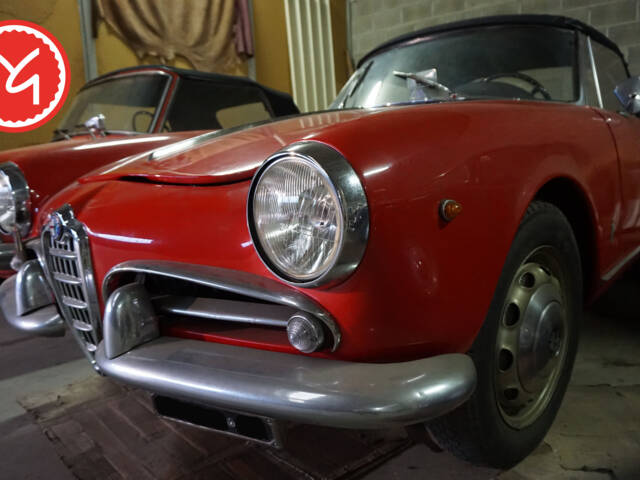 Image 1/13 of Alfa Romeo Giulietta Spider (1961)