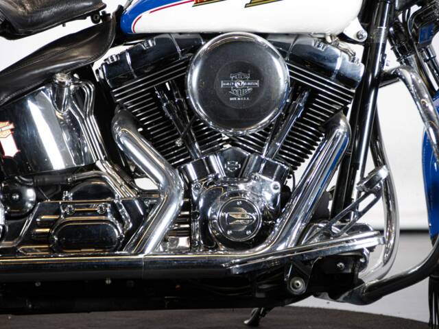 Harley-Davidson FXSTS Softail Springer