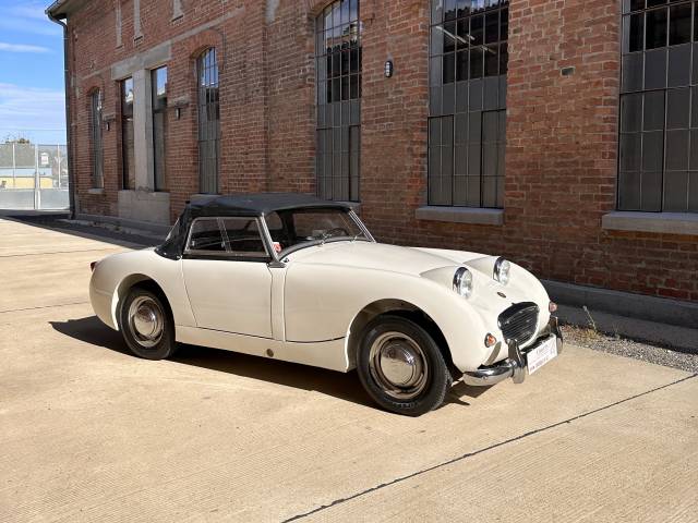 Austin-Healey Sprite Mk I - Austin Healey Sprite MK I - Frogeye - in weiß