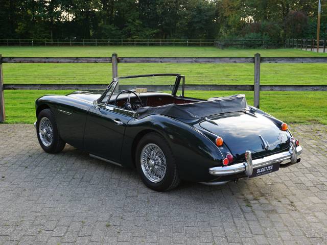 Austin-Healey 3000 Mk III (BJ8)
