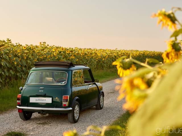 Bild 1/50 von Rover Mini British Open Classic (1993)