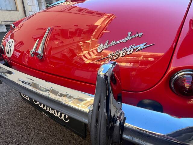 Austin-Healey 3000 Mk III (BJ8)