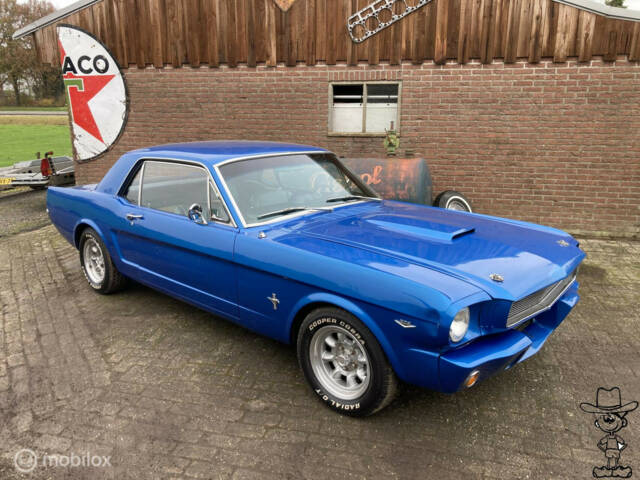 Bild 1/50 von Ford Shelby GT 350 (1966)