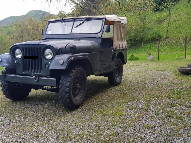 Immagine 1/4 di Jeep MD / M-38A1 (1952)