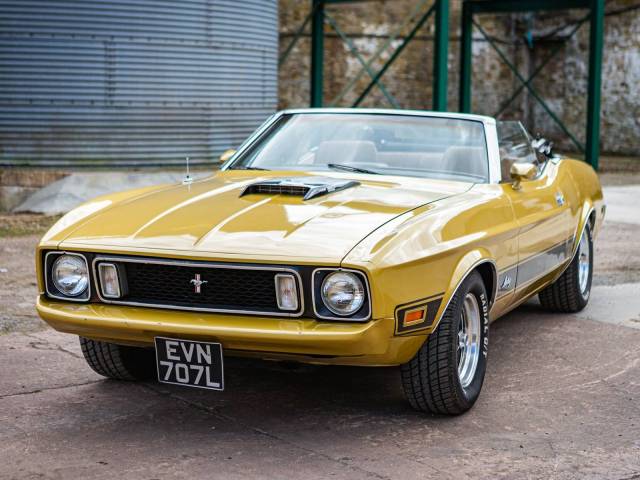 Bild 1/8 von Ford Mustang 351 (1973)