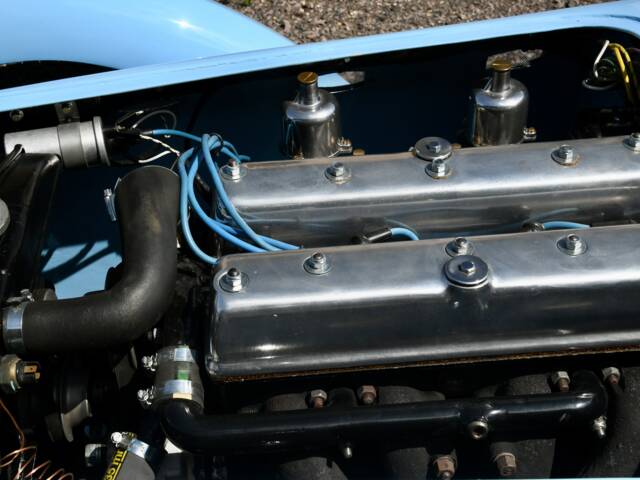 Healey Silverstone