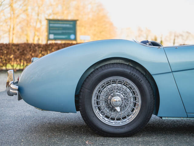 Austin-Healey 100/4 (BN1)