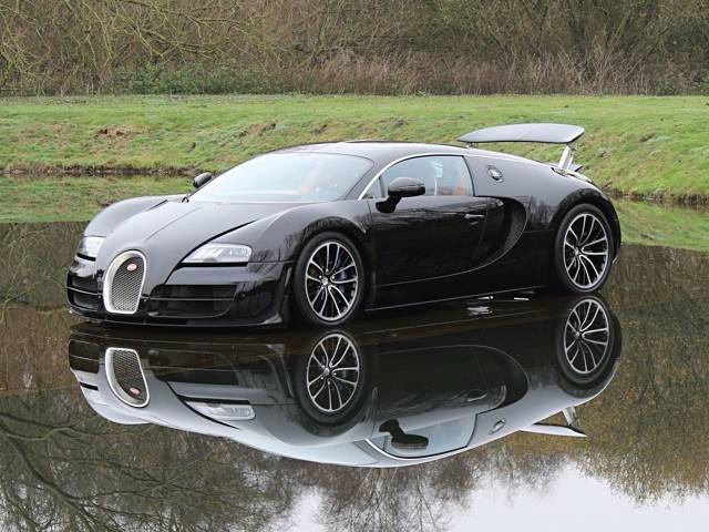 Bild 1/31 von Bugatti EB Veyron 16.4 (2011)
