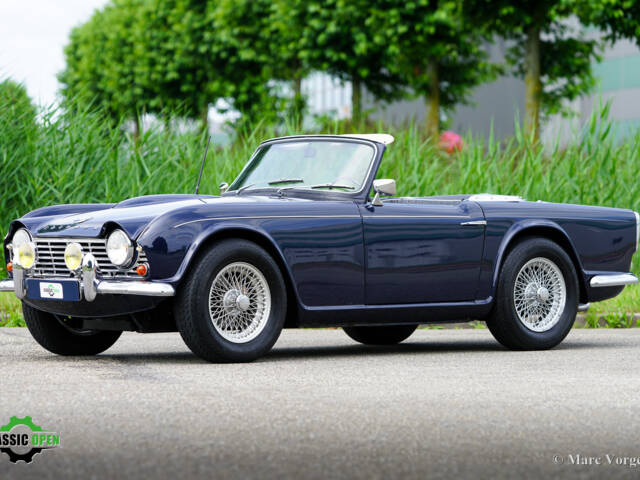 Immagine 1/46 di Triumph TR 4 (1963)