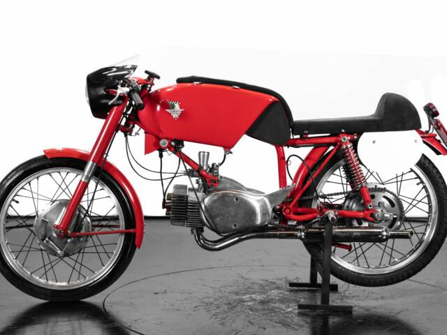 Rumi Junior Gentleman 125