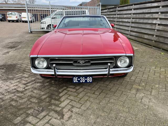 Ford Mustang 250