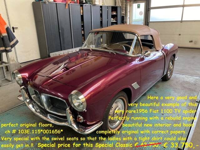 Bild 1/50 von FIAT 1100-103 E TV-Cabriolet (1956)