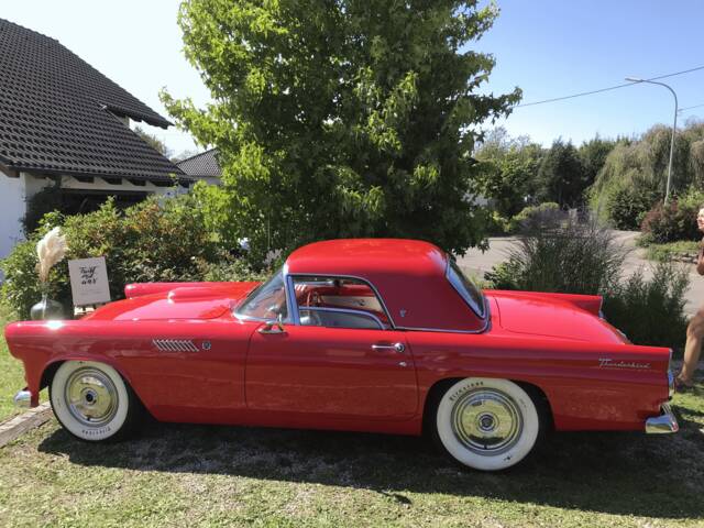Immagine 1/16 di Ford Thunderbird (1955)