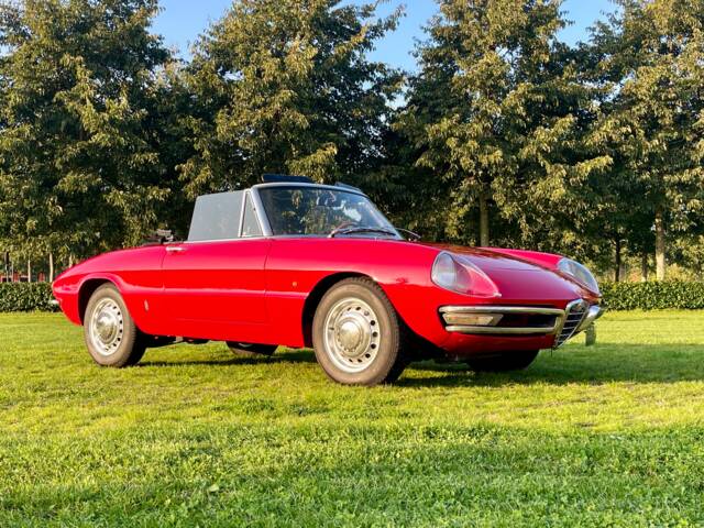 Image 1/28 of Alfa Romeo 1750 Spider Veloce (1968)