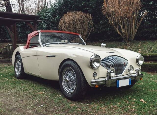 Image 1/7 de Austin-Healey 100&#x2F;4 (BN1) (1954)