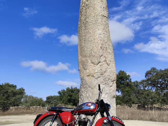 BSA B 44