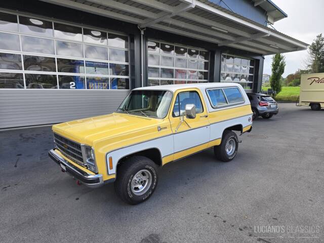 Imagen 1/54 de Chevrolet Blazer (1979)