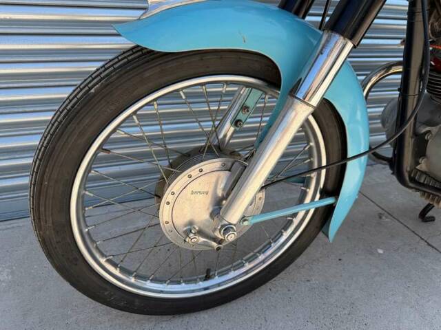 Berneg Fario 175