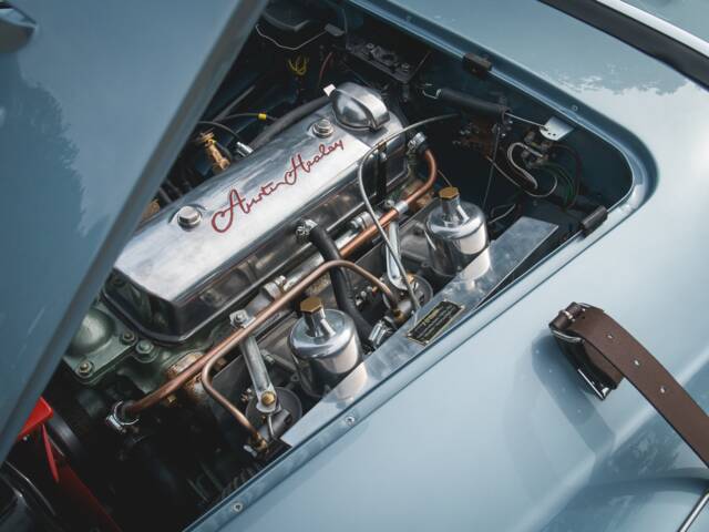 Austin-Healey 100/4 (BN1)