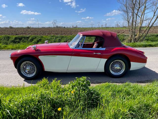 Austin-Healey 3000 Mk III (BJ8)