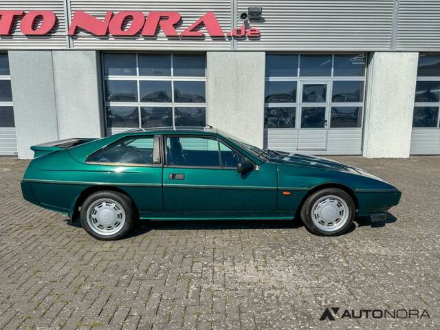 Lotus Excel S.E.