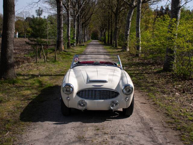 Austin-Healey 100/6 (BN4)