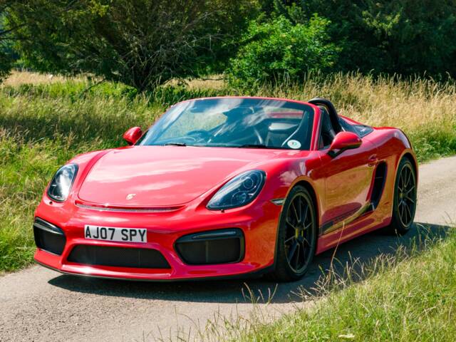 Bild 1/24 von Porsche 718 Boxster Spyder (2015)