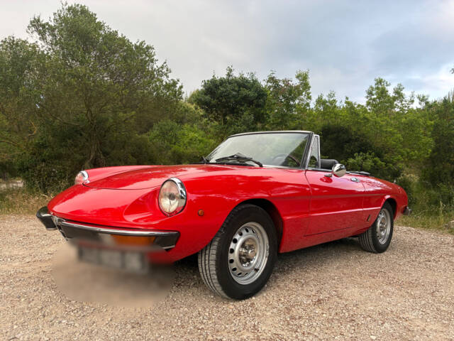 Image 1/42 of Alfa Romeo 2000 Spider Veloce (1982)