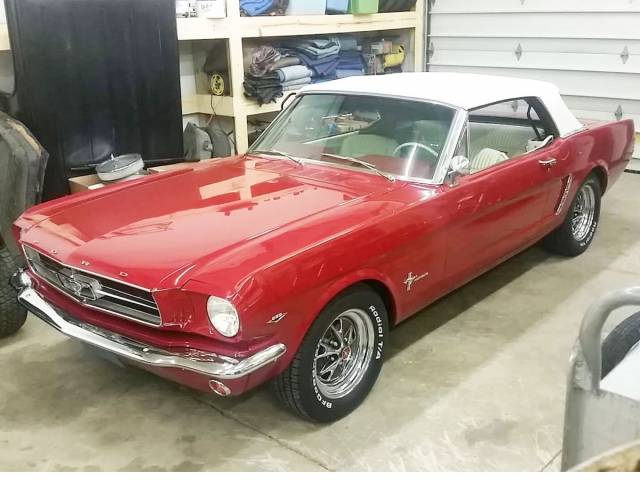 Bild 1/8 von Ford Mustang 289 (1964)