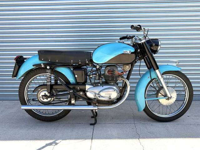Berneg Fario 175
