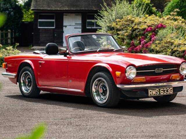 Immagine 1/30 di Triumph TR 6 (1969)