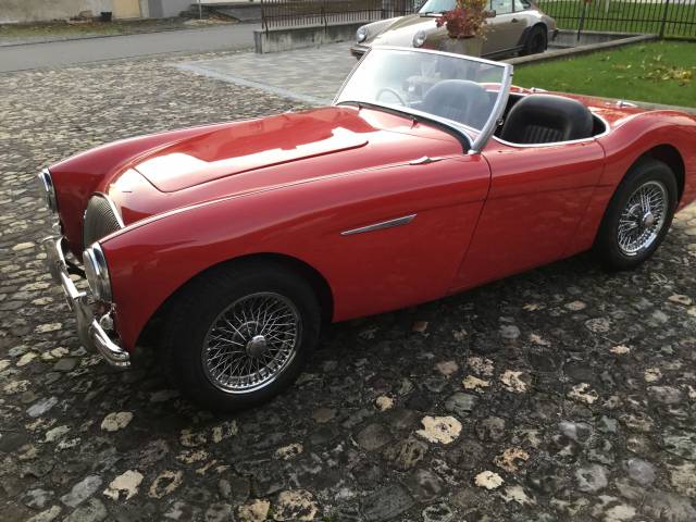 Austin-Healey 100/4 (BN1)