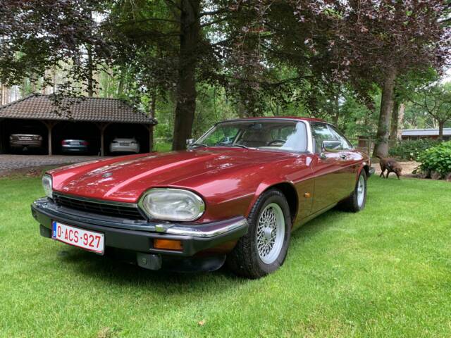 Image 1/5 de Jaguar XJS 5.3 V12 (1992)