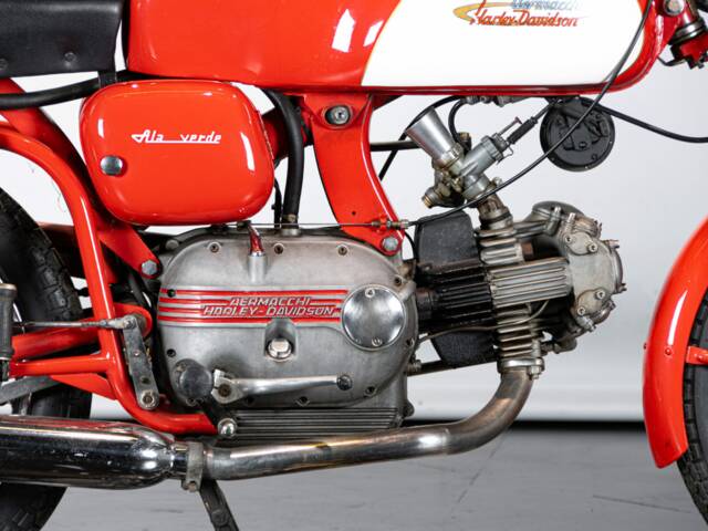 Aermacchi Ala Verde