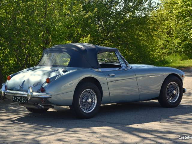 Austin-Healey 3000 Mk III (BJ8)