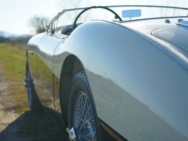 Austin-Healey 100/4 (BN2)