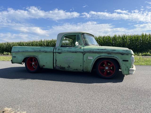 Dodge D 100
