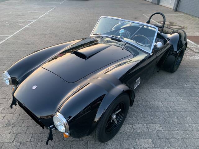 Immagine 1/16 di AC Cobra 289 (1965)