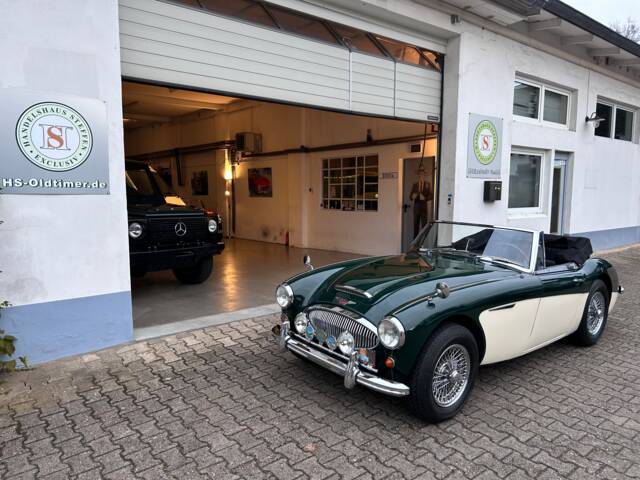 Austin-Healey 3000 Mk II (BJ7)